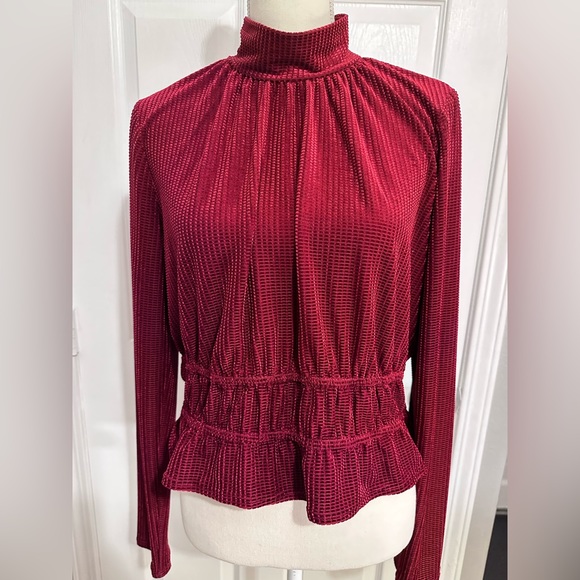 Lost + Wander Tops - nwt Velvet crush blouse